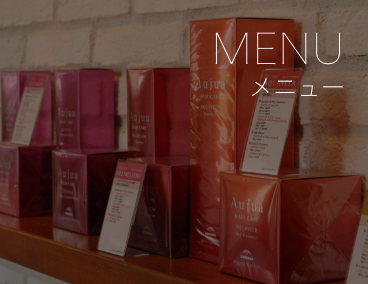 メニューのご紹介